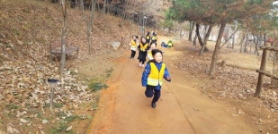 안동 꿈빛유치원 천년숲체험