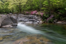 전국 하천 2031개 중 172개, 수생태계 우수