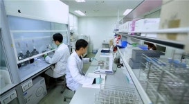 산양삼 품질검사 기준 확대