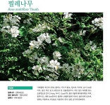 ‘기침에 좋은 찔레나무’ 등 전북 전통지식 발굴