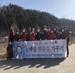 가평설악면 주민자치위원 눈메골 벚꽃길 가꾸기 시작