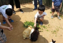 서울시, 유치원~중학생 힐링체험농장 접수