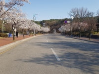 이천시 공휴일 설봉공원 차량통제로 한산한 모습