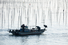 ‘수산생물 전문의(醫)’ 수산질병관리사 87명 합격