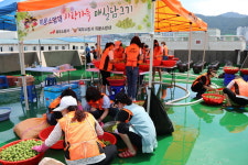 ‘의용소방대 사랑가득 매실담그기’ 행사