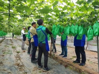 대신동 새마을협의회 농촌일손돕기 봉사활동 펼쳐