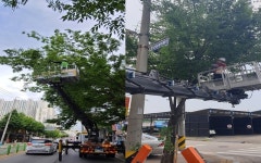 변화와 성장 ‘소통 행정’ 돋보여 일산서구 명재성 구청장 특별 인터뷰