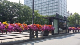 변화와 성장 ‘소통 행정’ 돋보여 일산서구 명재성 구청장 특별 인터뷰