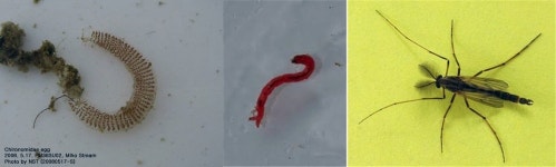 수돗물 유충 사고는 ‘관재(官災)’