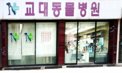강아지·고양이 중성화수술시 체계적인 시스템의 동물병원인지 체크해야