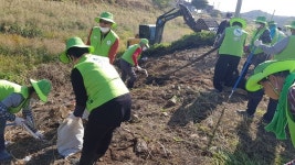 김천시, 생태교란 가시박 제거 총력