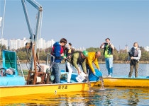 여주시, 관내 남한강에 대농갱이 방류