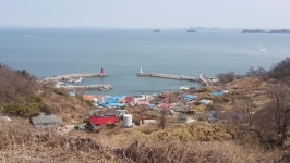 [2020 생물다양성 그린기자단] 생물자원의 보고, 풍도를 생물권 보존지역으로