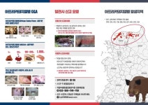 포천 멧돼지 폐사체, ASF 바이러스 검출