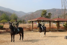 구미시승마장, 고객의날 행사 운영