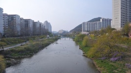 안양시민 베스트 프랜 안양천, 끝없는 변신은 무죄...!