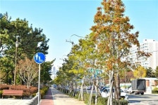 부산 해운대 해변로 가로수길, 녹색도시 우수사례 최우수 선정