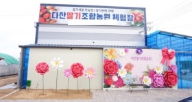 딸기 따면서 코로나블루 날려요