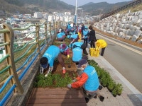 통영시, 서피랑 공원 일원 봄꽃 식재