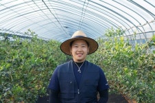 고령군 시설하우스 블루베리 수확