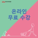 한국사이버진흥원, 스토리텔링그림책지도사, 풍선아트지도사 등 다양한 민간자격증 비대면 온라인 원격교육 무료 지원