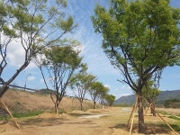 청도군, 쾌적하고 아름다운 금천면 조성