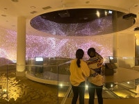 성주 성산동 고분군 전시관 상설전시실 개방