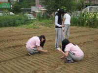 [경기일보-혁신학교를 가다] 남양주 호평중학교