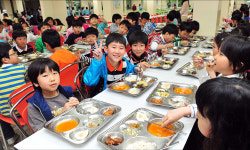 부평구 친환경 무상급식 학부모 92% 만족