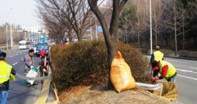 안양시, 새봄맞이 시가지 봄꽃 식재