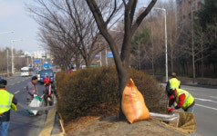 안양시 새봄맞이 새단장 도로변 봄꽃  12만송이 심고 꽃박스  445개 학교등에 식재