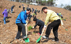 양주시 공무원, 시민 등 참여 식목행사