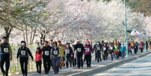 서울성모안과병원, 제9회 광교산 걷고 달리기 대회 개최