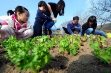 봄맞이 주말농장 개장