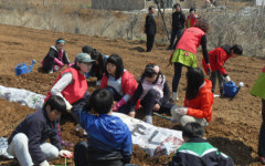 오산 수청초등학생 대상 텃밭농사 체험학교 운영