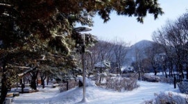 가평 산장관광지, 편익과 다양성 갖춘 관광지로 재탄생