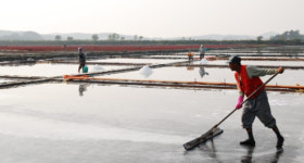 바람과 태양, 하늘 그리고 소금 … 대부도 동주염전을 아시나요