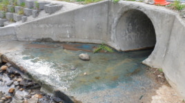 통합정수장 청소 오염 물, 의왕 청계천 방류