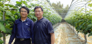 [경기농업 세계를 품다]⑨화성시포도수출협의회