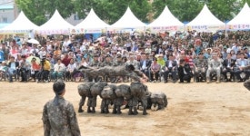 포천 일동 오뚜기 한마음 축제 성황