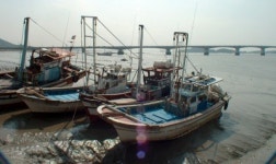 대한민국 최대 녹색생명길로 떠오르는 김포평화누리길