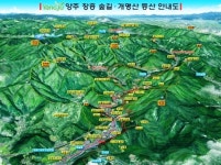 장흥숲길에서 숲체험과 삼림욕 즐기세요