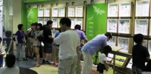 양평곤충박물관-경희대 자연사박물관, 곤충표본 제작교실 개최