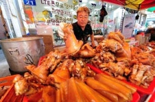 [길위의 삶, 길을 묻다]5일장 누비며 나는 장돌뱅이 이해길