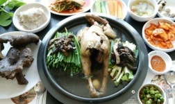 [맛집데이트]고양 원가든 능이버섯 백숙
