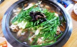 [맛집데이트]고양 원가든 능이버섯 백숙