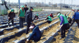 [우리주민센터 최고]고등동주민센터