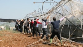 인천농협, 태풍 피해농가 복구지원에 구슬땀