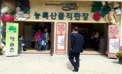 포천허브아일랜드에 농특산물 판매장 개장
