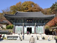 [산과 사람, 경기를 세우다]29.용문산 은행나무 아래서 마의태자를 그리다